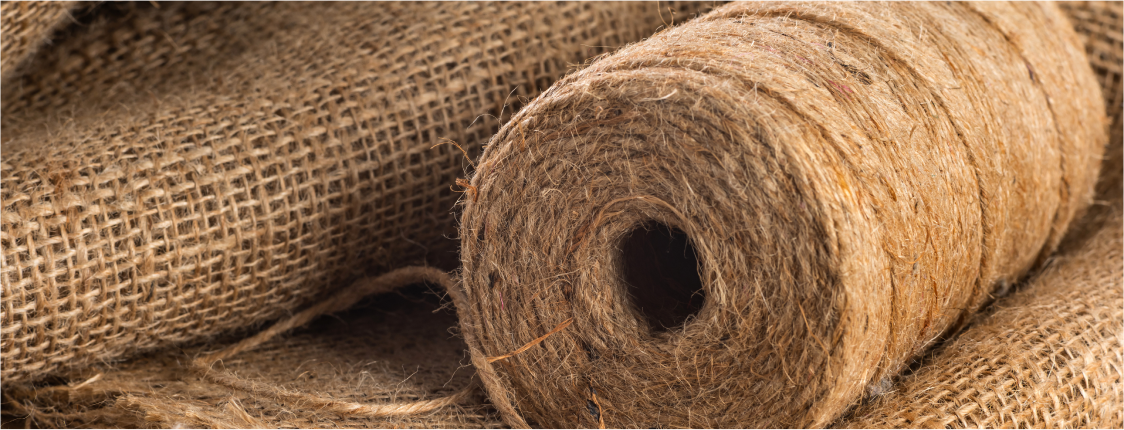 About Jute