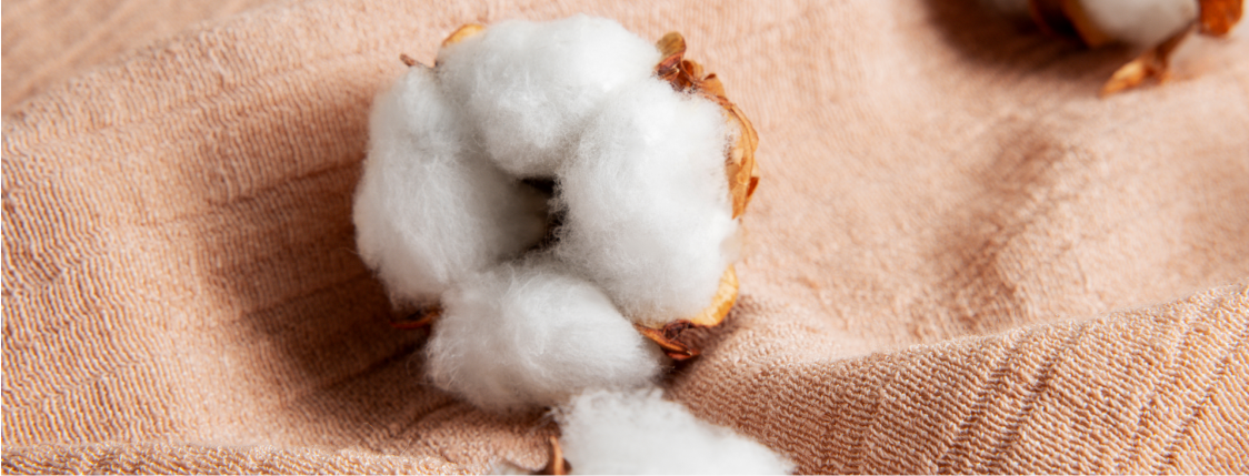 About Cotton